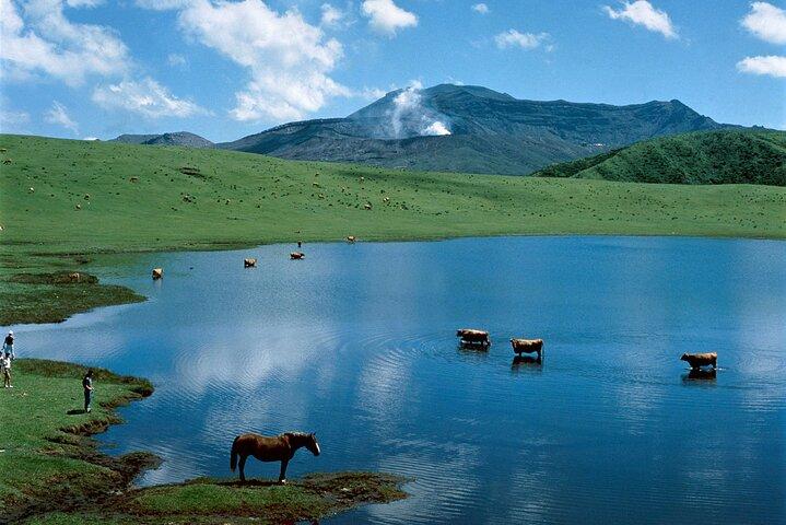 Da Kumamoto: tour privato all inclusive del Monte Aso e Takachiho