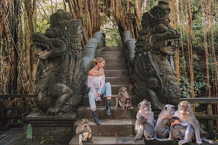 Excursão privada em Ubud: Monkey Forest, Waterfall & Rice Terrace
