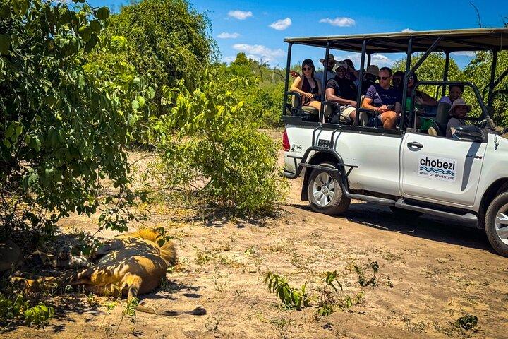 Victoria Falls Chobe Day Trip