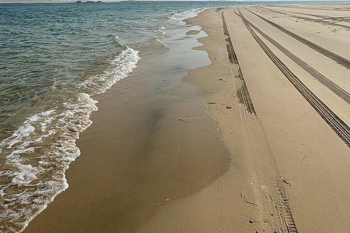 Doha Desert Safari met Dune Buggy Ride, Dune Bashing & Sea Visit