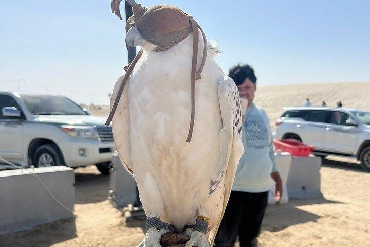 Doha Desert Safari met Dune Buggy Ride, Dune Bashing & Sea Visit