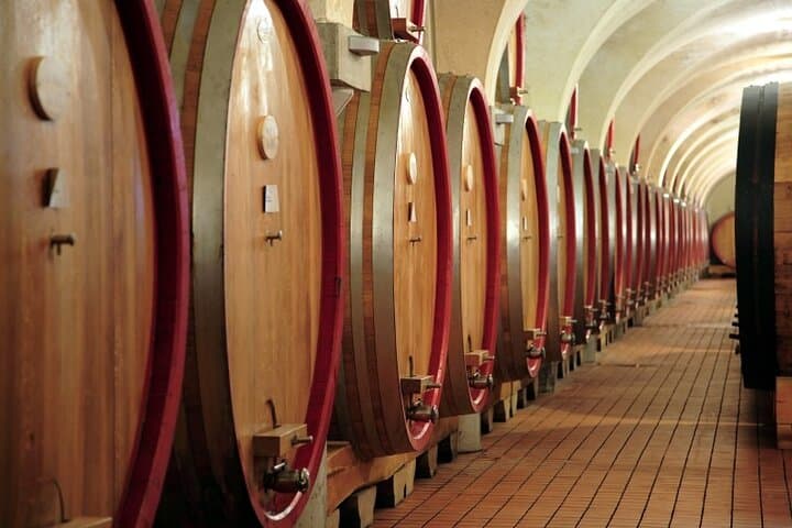 Rome: Tuscany Day Trip with Vineyard Lunch and Wine Tasting