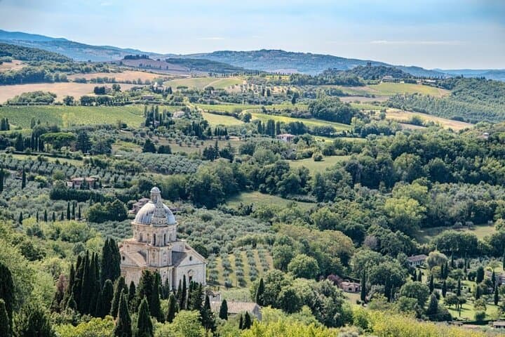 Rome: Tuscany Day Trip with Vineyard Lunch and Wine Tasting