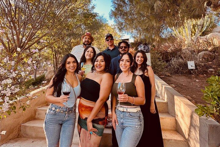 Excursion privée de vin à Valle de Guadalupe