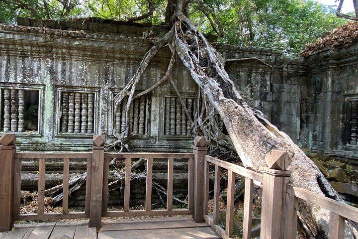 Beng Melea e Banteay Srei Temple Tour