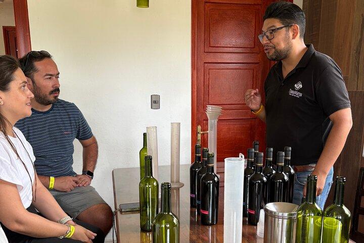 Maipo Valley Wine Tour Cile a TerraMater o Santa Ema con pranzo
