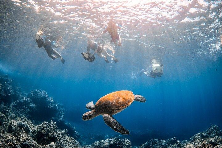 Mala Wharf Lahaina Jet Scooter Snorkeling Piccolo gruppo con foto