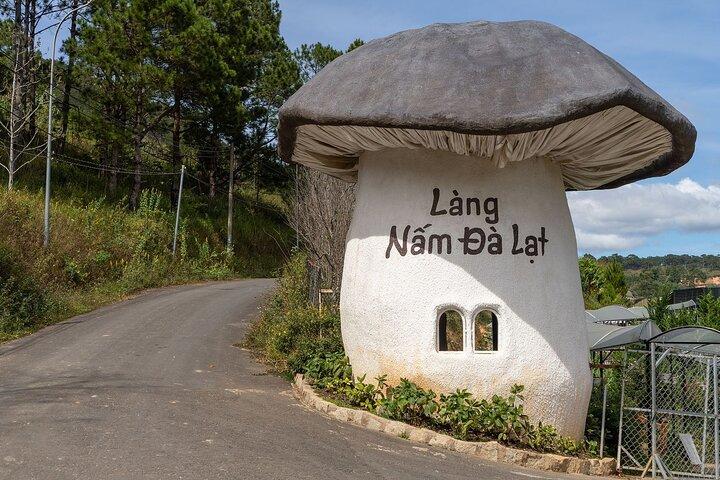 Easy Rider Da Lat Hidden Countryside Nature Culture Experience
