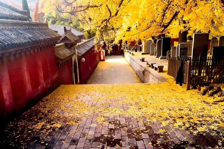 Heldags Shangai til Shaolin Temple Tour & Kung Fu Show med fly