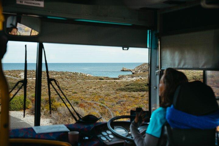 Rottnest Bayseeker Bustour vom Bootshafen von Hillarys