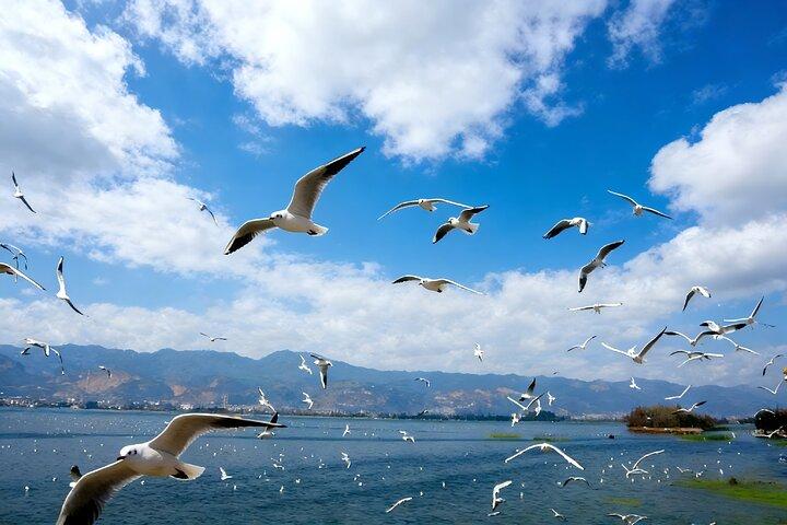 テン池、ウェストヒル、安寧温泉への昆明プライベート日帰りツアー