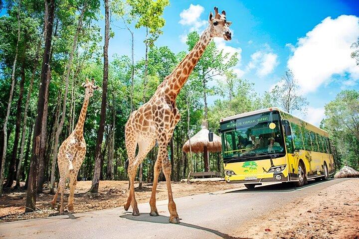 フーコックシティ:ビンワンダーズ&ビンサファリ&水族館ビューランチ