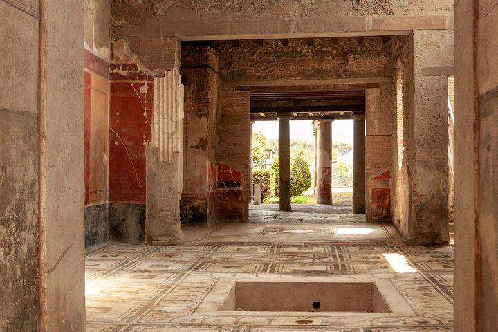 Pompei, Ercolano, Vesuvio Degustazione e Pranzo da Salerno