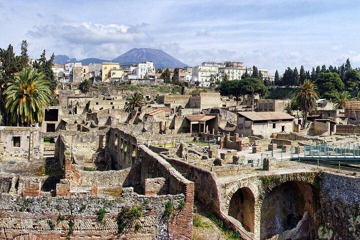 Pompei, Ercolano, Vesuvio Degustazione e Pranzo da Salerno