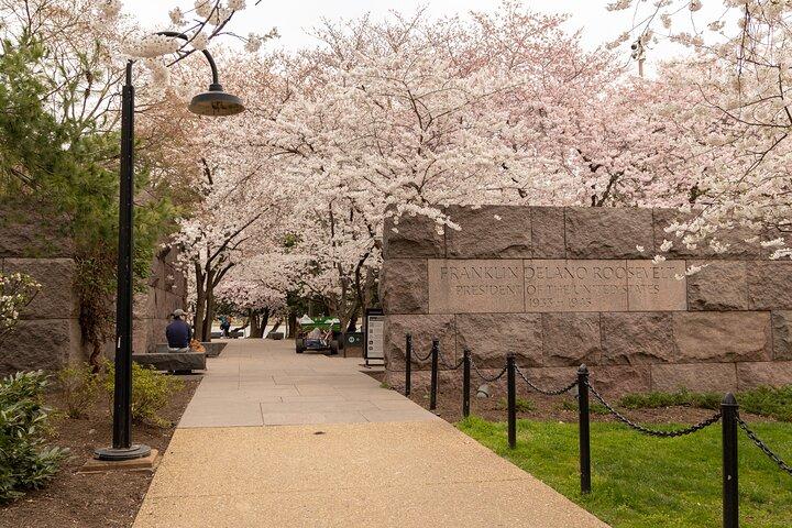 DC Cherry Blossoms Insiders Tour
