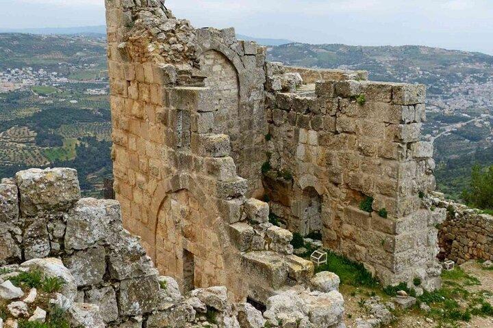 Excursão de um dia de Jerash & Ajloun Castle a partir de Amã