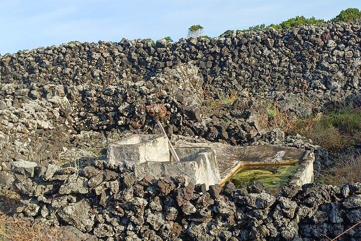 Isla Pico : Su Experiencia Guiada Privada de Medio Día