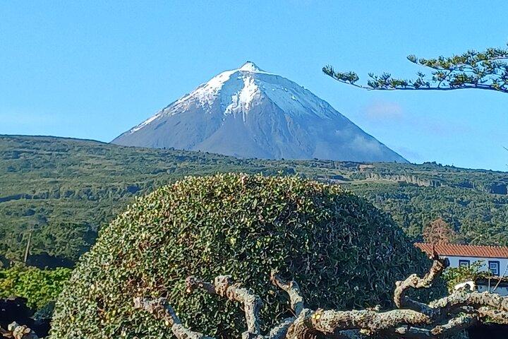 Isla Pico : Su Experiencia Guiada Privada de Medio Día