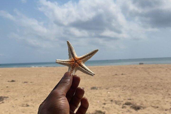 アクラからの脱出3日間贅沢なケタの自然