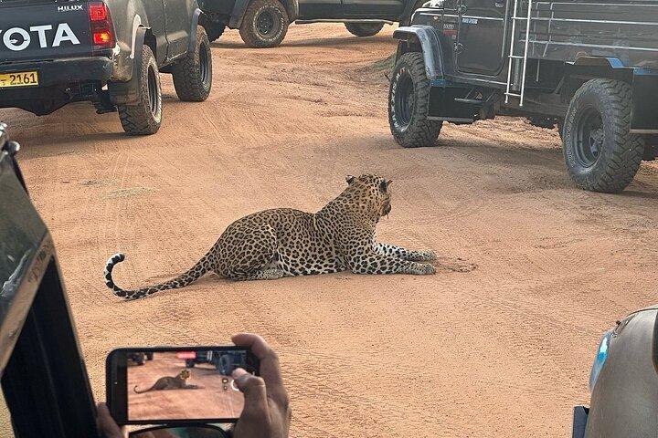 Hotell nära Yala National Park