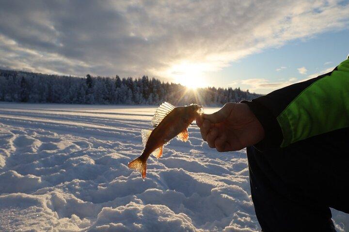 Isfiskeri og vinter grilloplevelse i den finske vildmark