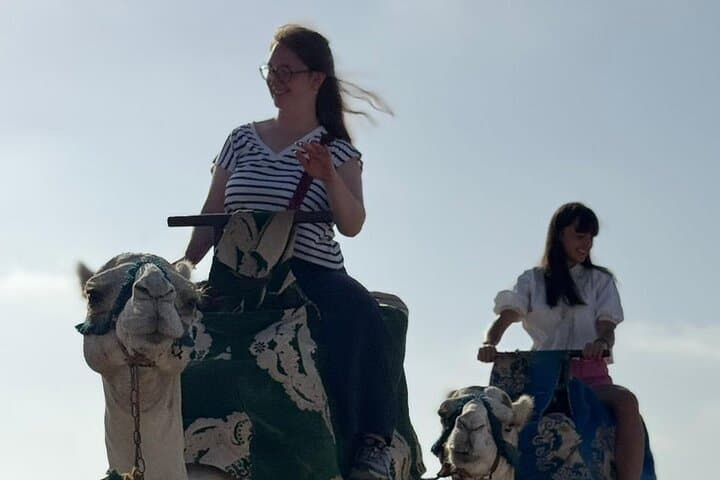 Camel Rides in Taghazout