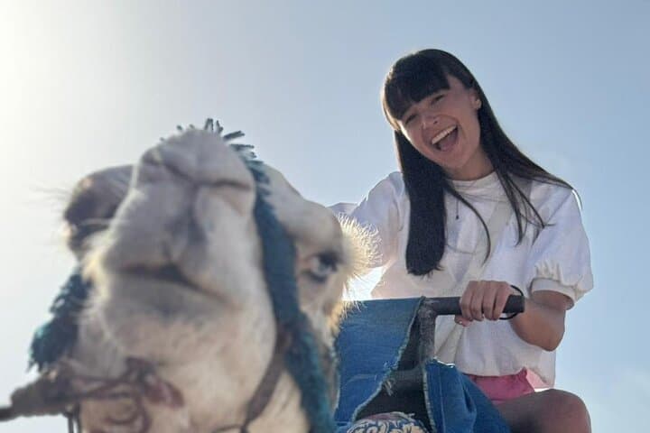 Camel Rides in Taghazout