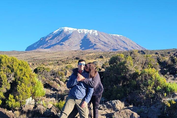 Kilimanjaro Dagwandeling naar Shira Plateau met picknicklunch