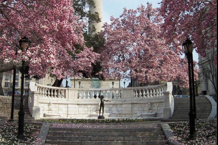 Mount Vernon & The Millionaires, tour a piedi di 2 ore