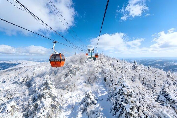 Qingdaos privater Tagesausflug zur Mutianyu-Chinesischen Mauer mit Seilbahn- oder Rodelfahrt