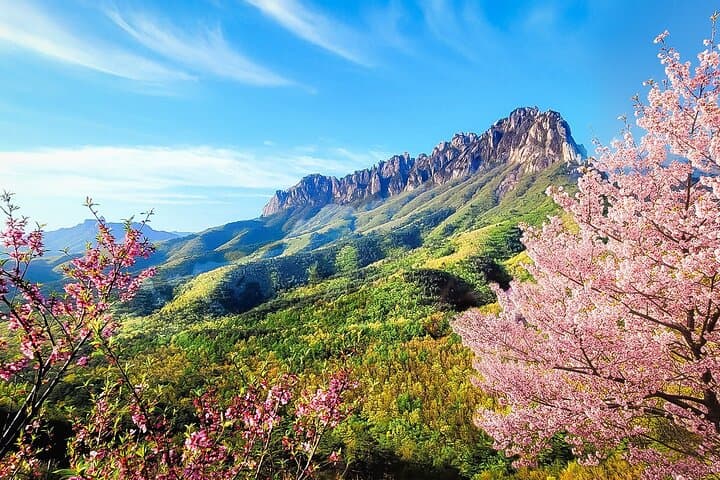 Full-Day Tour in Mt. Seorak & Nami (+Rail Bike Option)