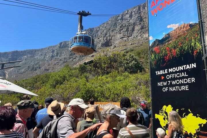 Tour di mezza giornata di Città del Capo e Table Mountain