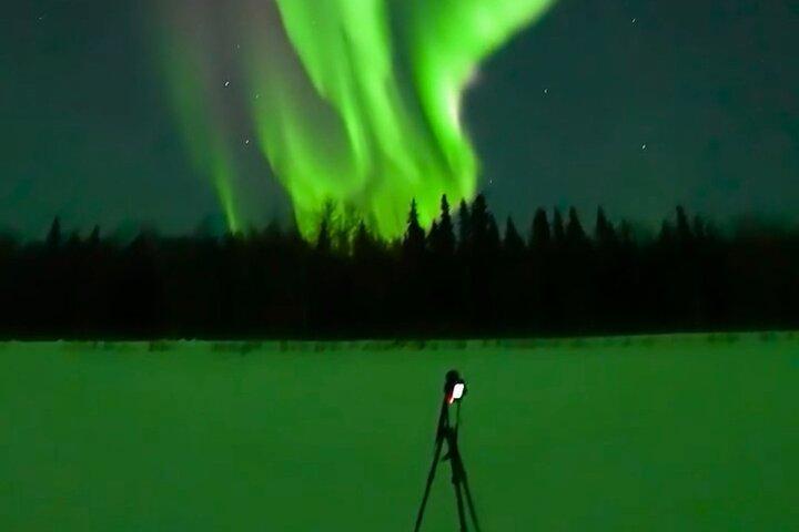 Alaska Winter Northern Lights Aventura Dog Sledding e mais