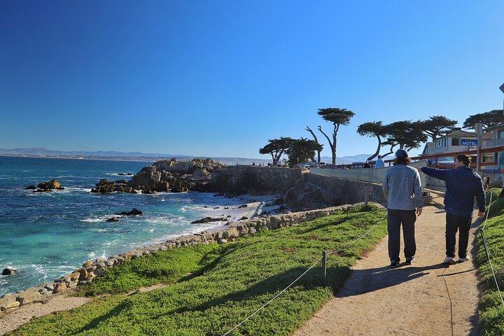 Tour di Big Sur Monterey e Carmelo da San Francisco