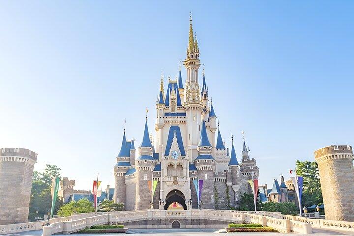 Tokyo Disney & City : Private Tour, Ticket- und Flughafentransfer
