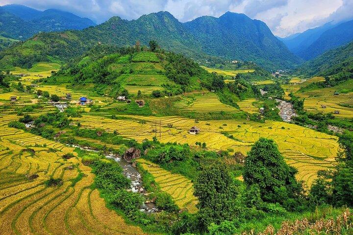 Excursion d'une journée en voiture à Sapa Vallée de Muong Hoa et Nam Cang