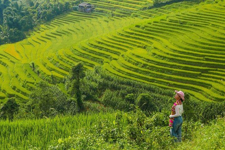 Excursion d'une journée en voiture à Sapa Vallée de Muong Hoa et Nam Cang