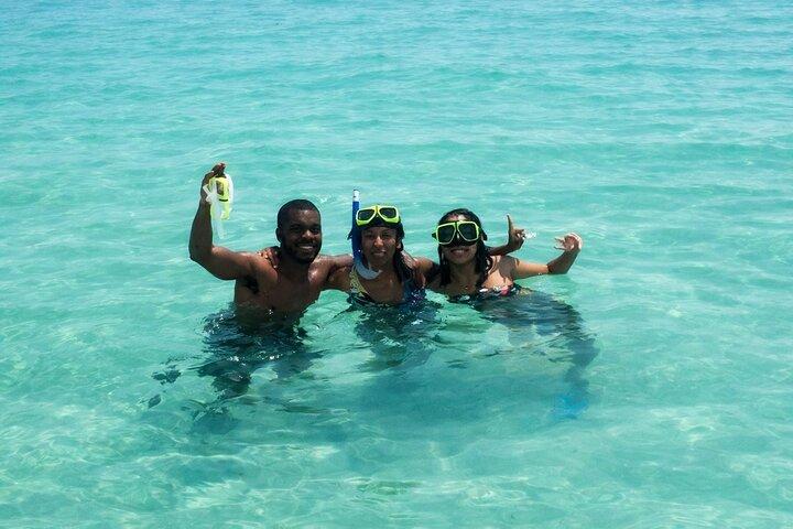 Shell Island Schnorchel- und Delfintour ab Panama City Beach