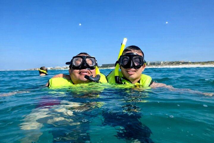 Shell Island Schnorchel- und Delfintour ab Panama City Beach