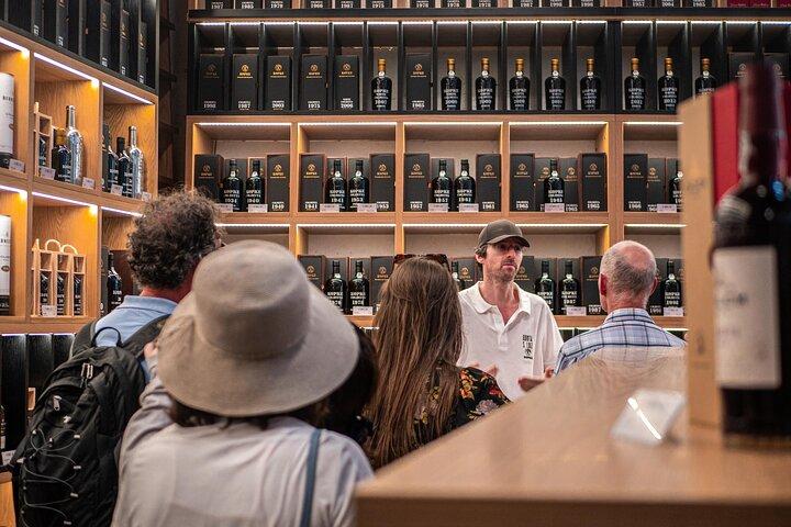 Vanuit Porto : Douro Tour met wijn, cruise en uitzichtpunt Halve dag