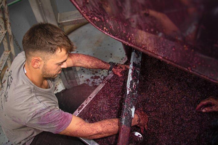Winery tour & wine tasting at Douloufakis winery