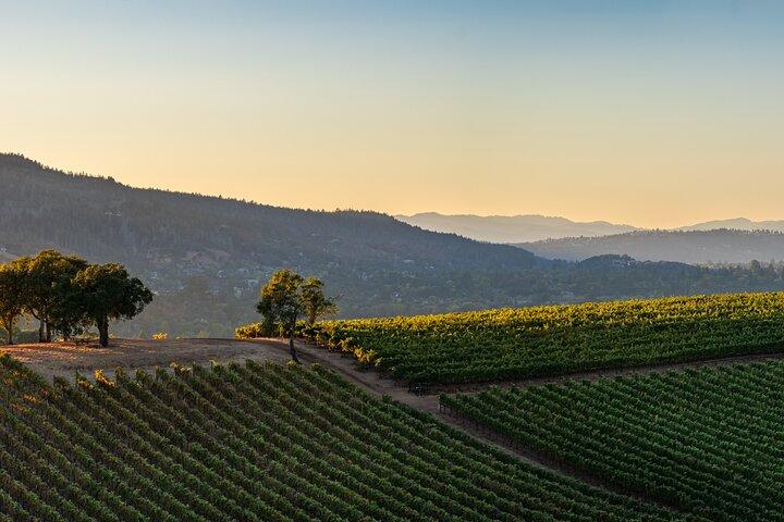 Private Napa und Sonoma Ganztägige Weintour