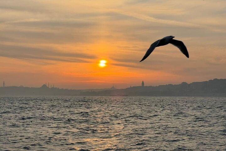 2-Hour Scenic Bosphorus Cruise in Istanbul Throughout the Day