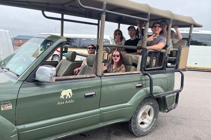 Big Five Safari alla riserva privata Schotia di Port Elizabeth
