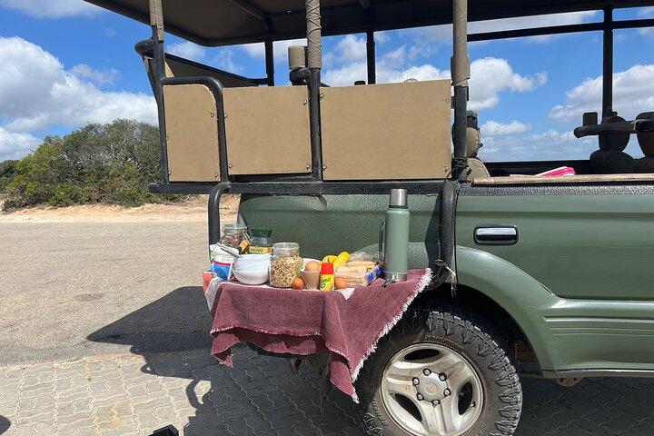 Big Five Safari alla riserva privata Schotia di Port Elizabeth