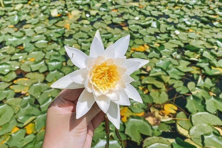 Au cœur du lac de Skadar Nature et histoire