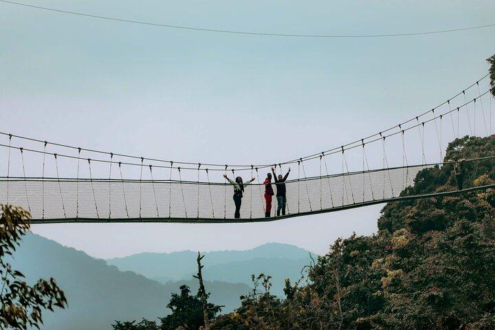 3 Dias Chimpanzee Canopy e Zipline Adventure em Nyungwe