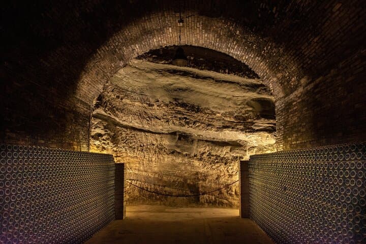 From Milan: Barolo Vineyards & UNESCO Wine Cellar Experience