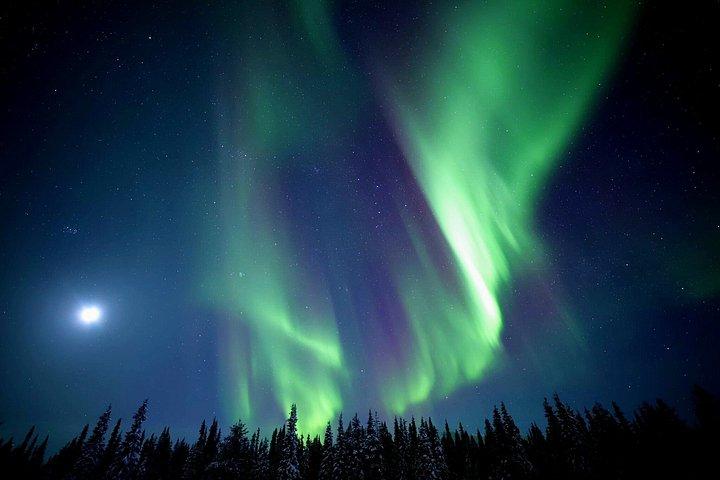 Levi : Tour Aurora Boreale ed esperienza di osservazione delle stelle