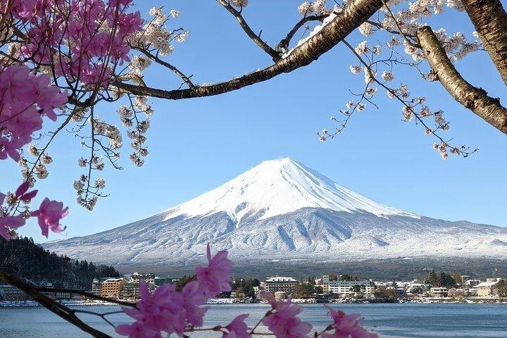 Visites du Mont Fuji en voiture privée